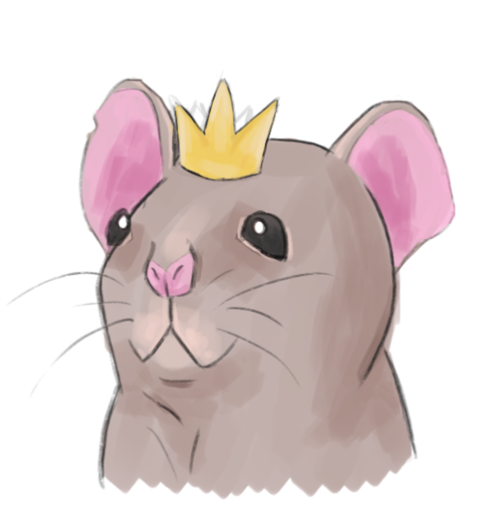  rat with crown